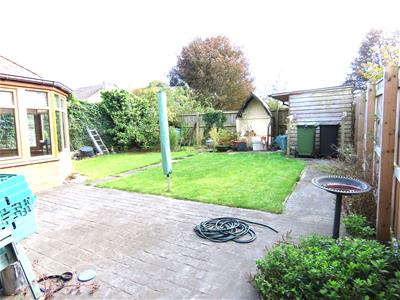 Picture 20